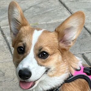 Meet your Posher, Erica